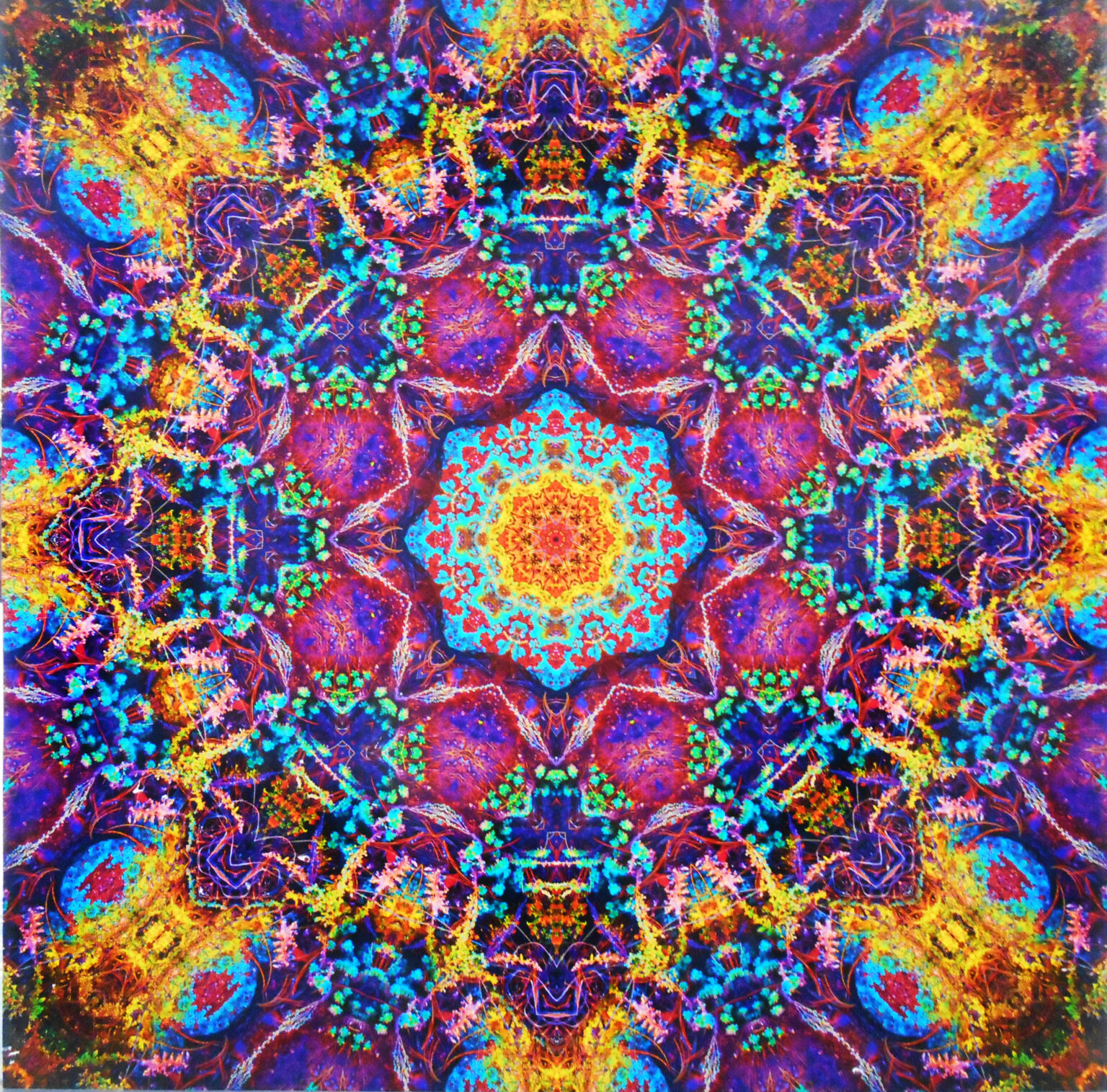 011.-James-Whealon-Kaleidoscope-I-1536x1515.jpg