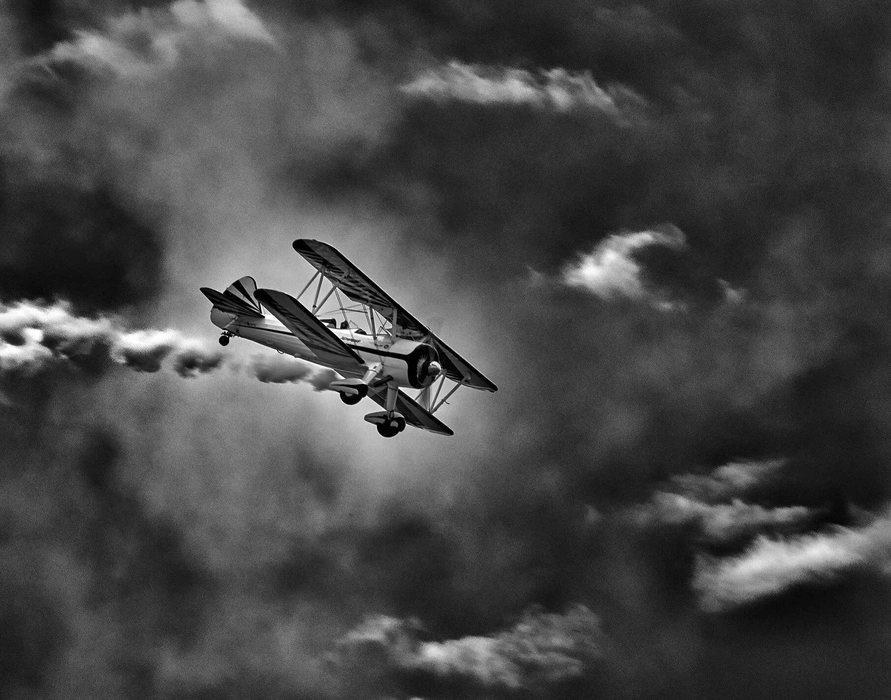 Things That Fly | Peak Digital Imaging Society Annual Show