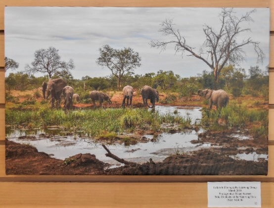 Colorado Photography Learning Group : Annual Show