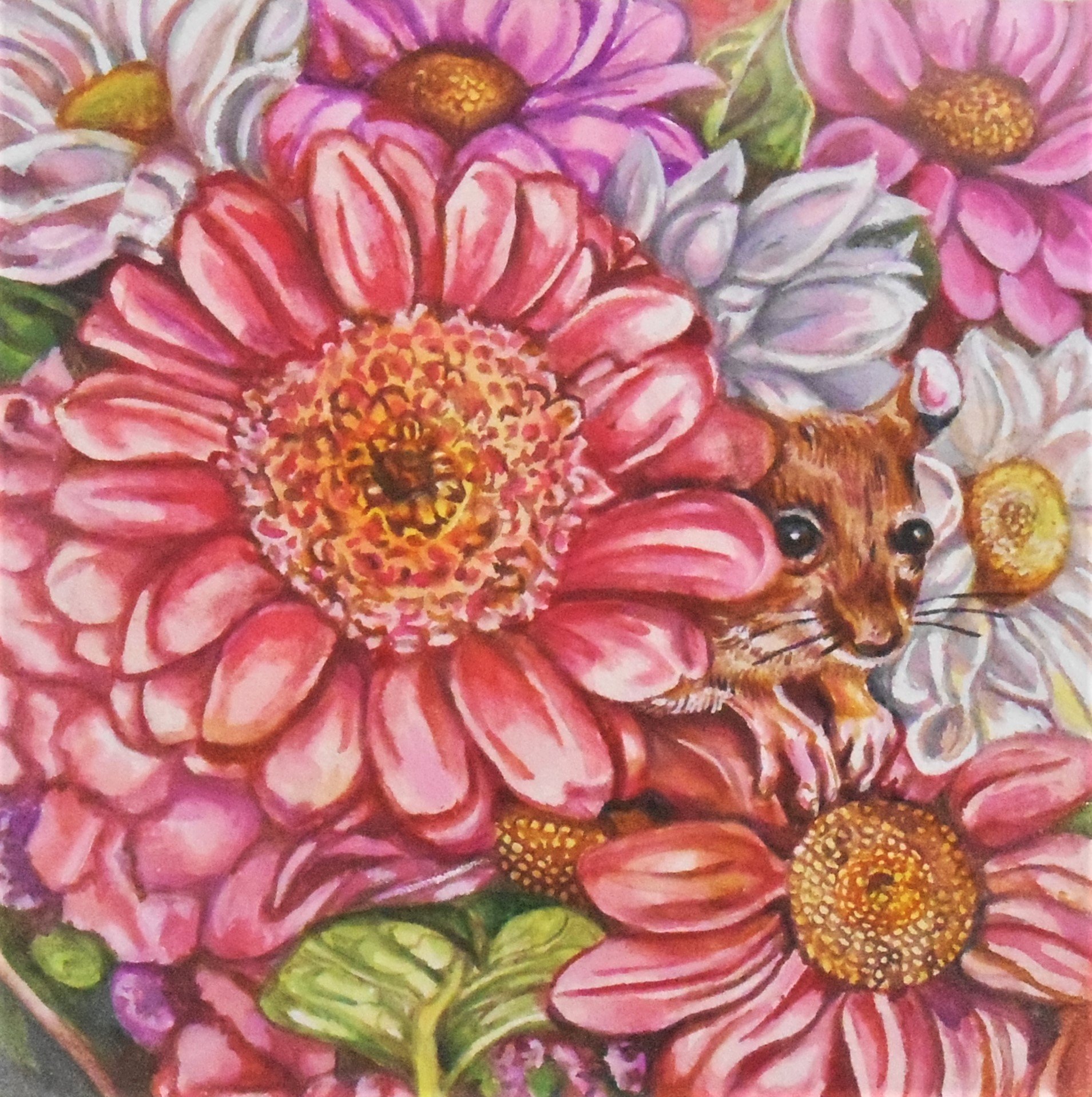 November 2018 | Darcy Lee Marquis