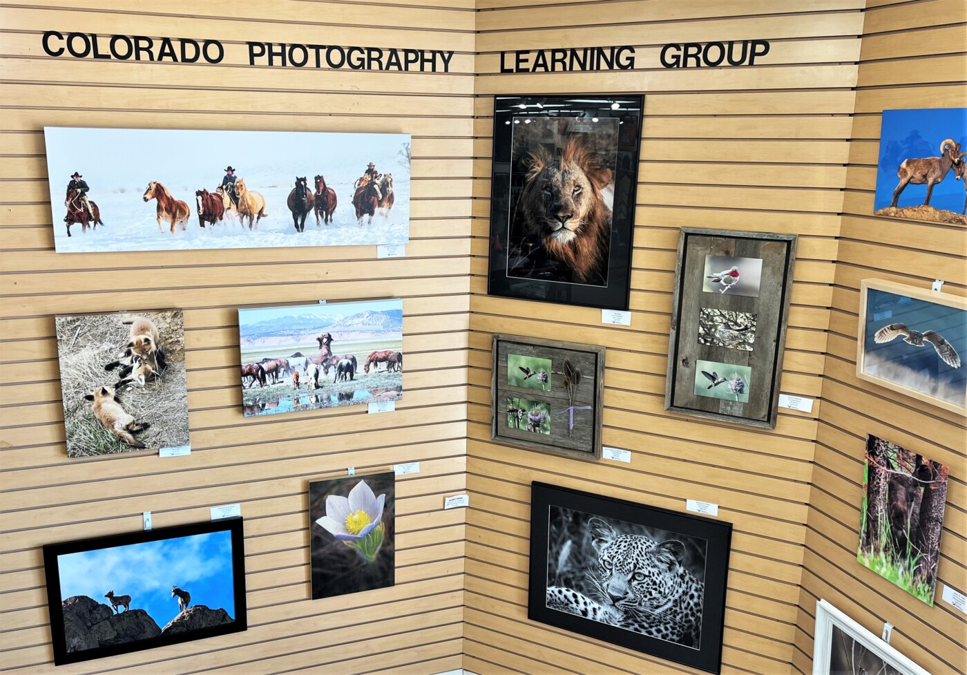 Colorado Photography Learning Group Annual Members Exhibit