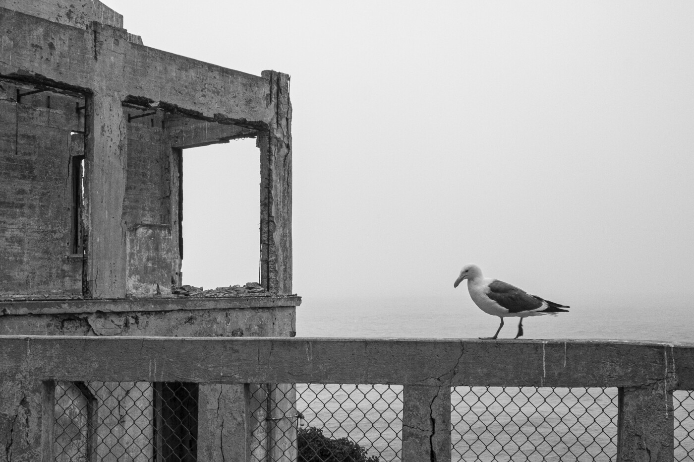 Gray Works: Photography & Paintings by Robert, Lee & Emma Gray