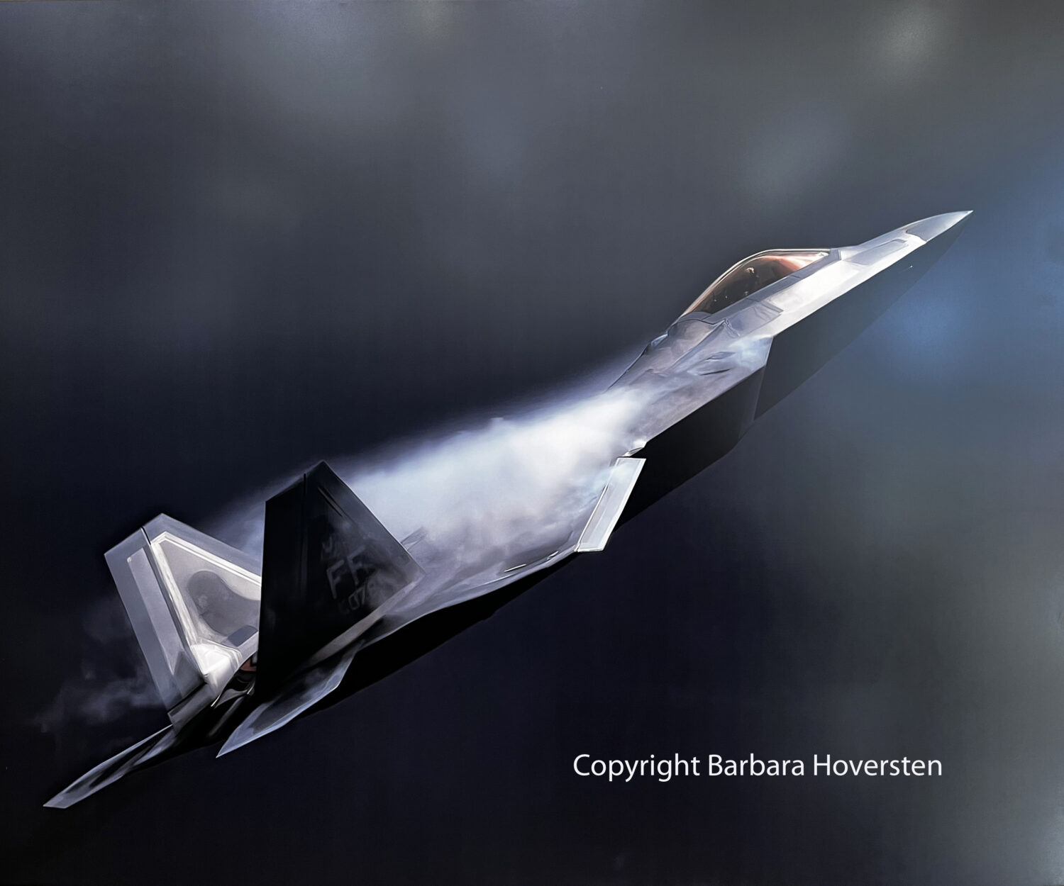 Copyright Barbara Hoversten