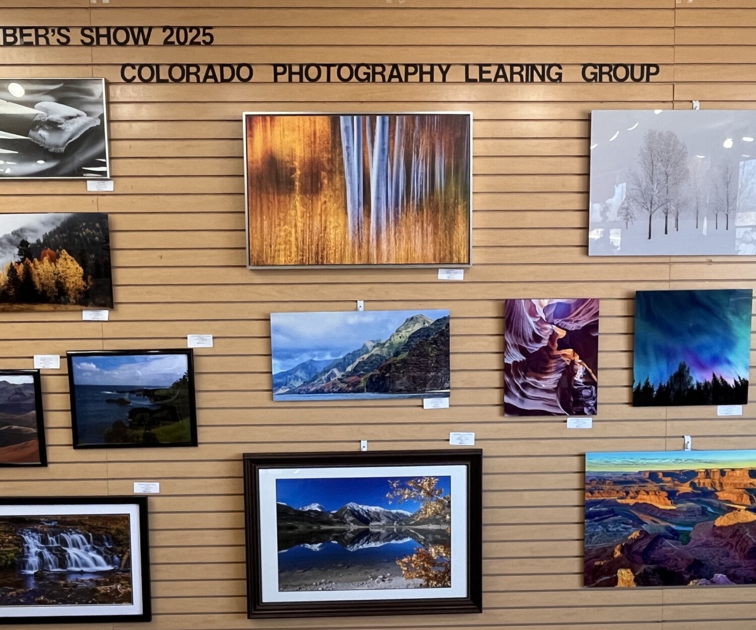 This image has multiple photographs in it that are hanging on our show wall.